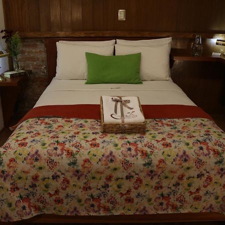 Chalet Del Carmen, Coyoacan Мехико Экстерьер фото