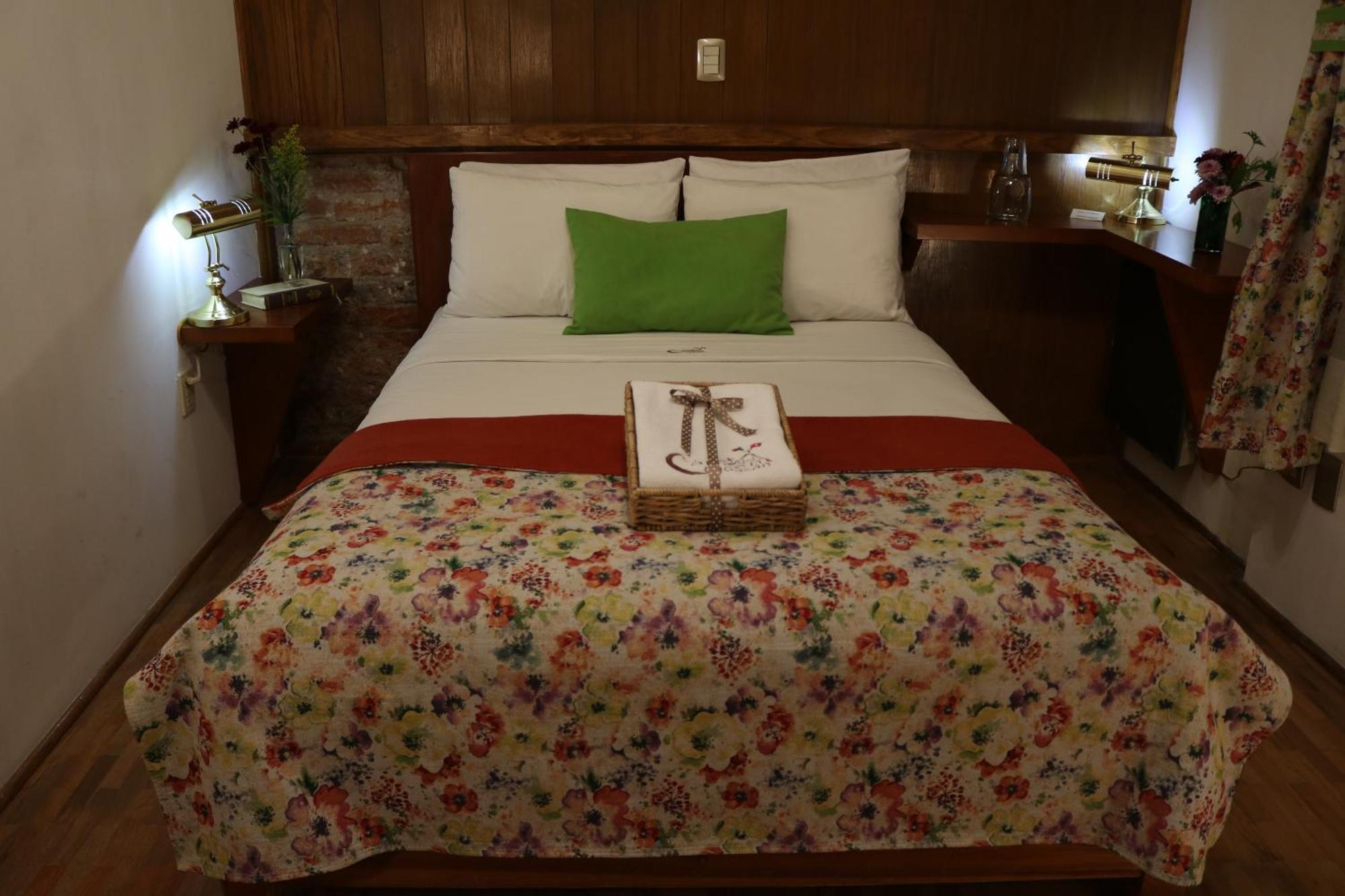 Chalet Del Carmen, Coyoacan Мехико Экстерьер фото